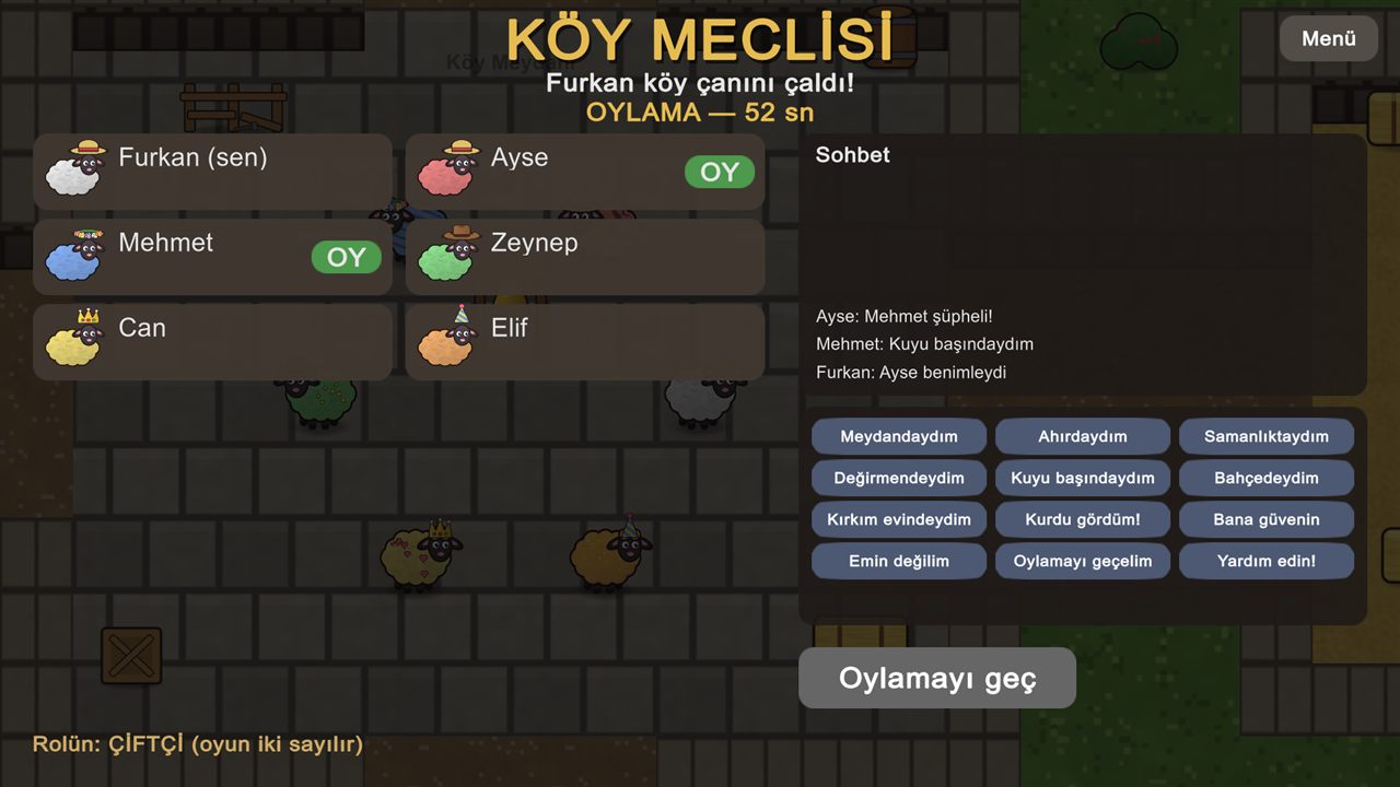 Köy meclisi ve oylama